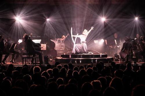 歌剧演员爆料网易新闻最新,网易新闻最新爆料震惊业界